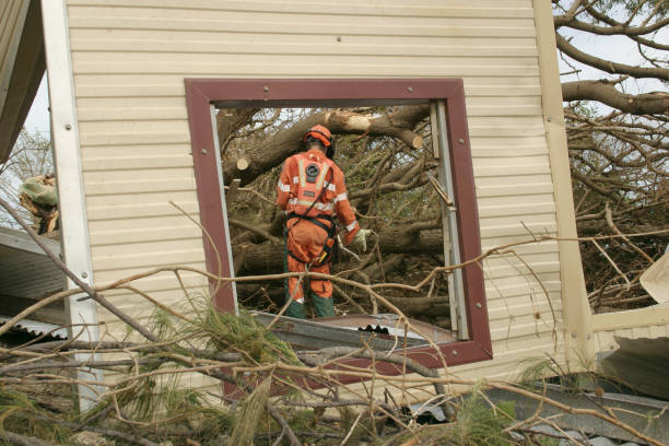 How Our Tree Care Process Works  in  Calexico, CA